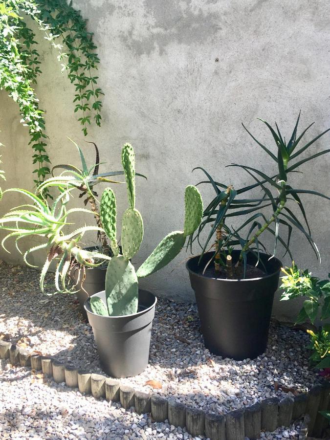 Dans Une Maison, Appartement Independant Et Jardin 페르피냥 외부 사진